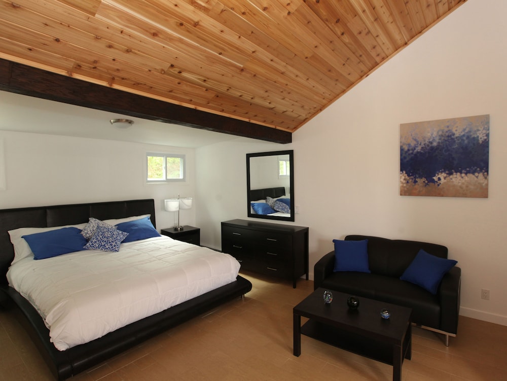 Deluxe Studio, 1 King Bed (No Pets)