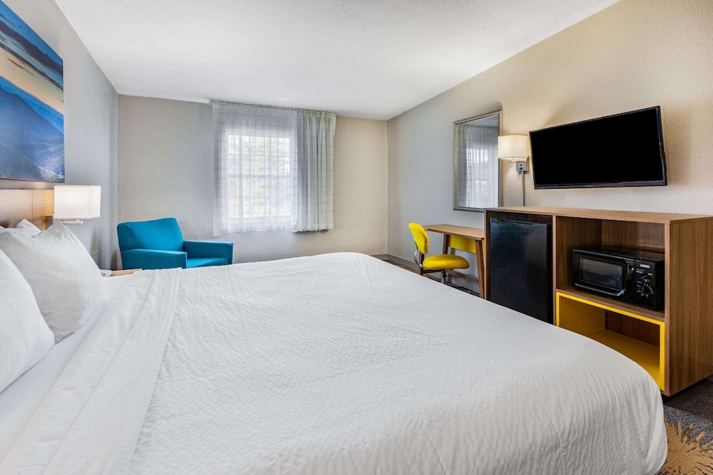 Standard Room, 1 King Bed, Accessible, Non Smoking - Photo 5