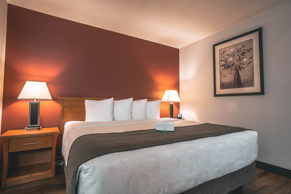Suite, 1 King Bed with Sofa bed, Non Smoking (Pet Friendly) - Photo 4