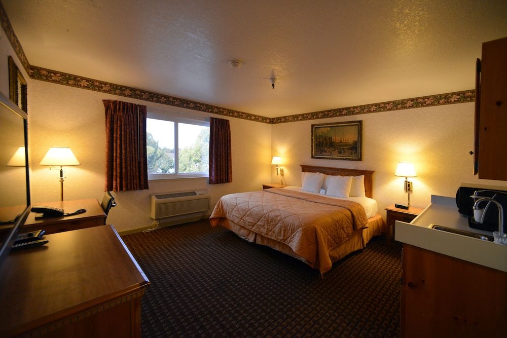 Executive Room, 1 King Bed, Refrigerator & Microwave - Photo 2