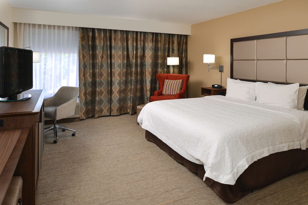 Room, 1 King Bed, Accessible, Non Smoking - Photo 3
