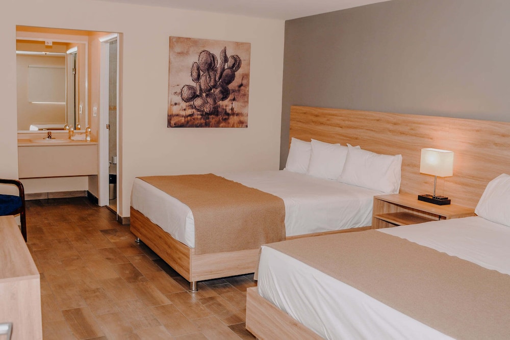 Standard Double Room, 2 Queen Beds photo 1