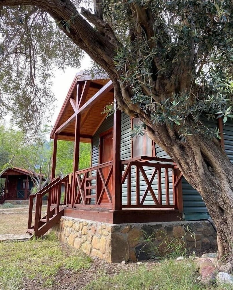 Deluxe Bungalow photo 2