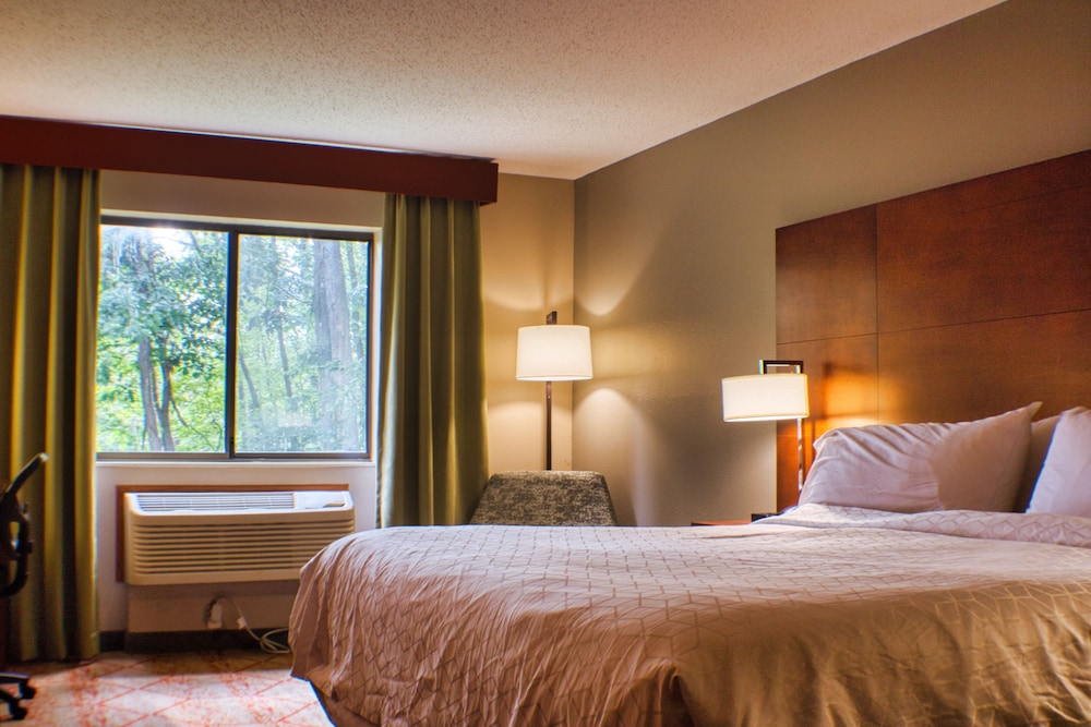 Standard Room, 1 Queen Bed, Accessible, Refrigerator & Microwave photo 1