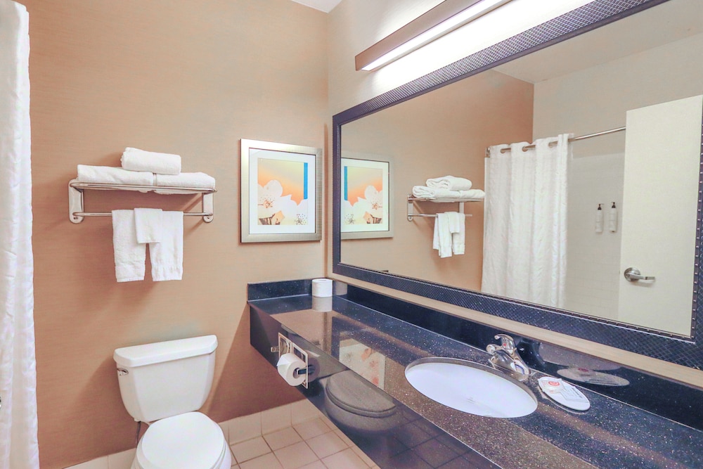 Comfort Inn & Suites Houston North - Spring, Foto 3