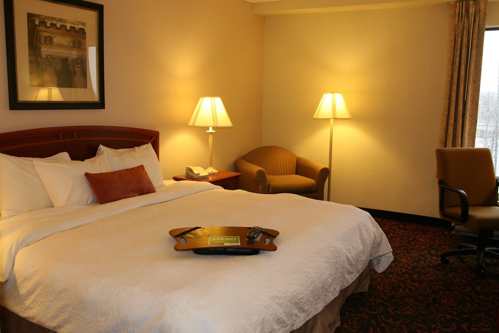 Room, 1 King Bed, Accessible, Non Smoking (Bathtub) - Photo 3