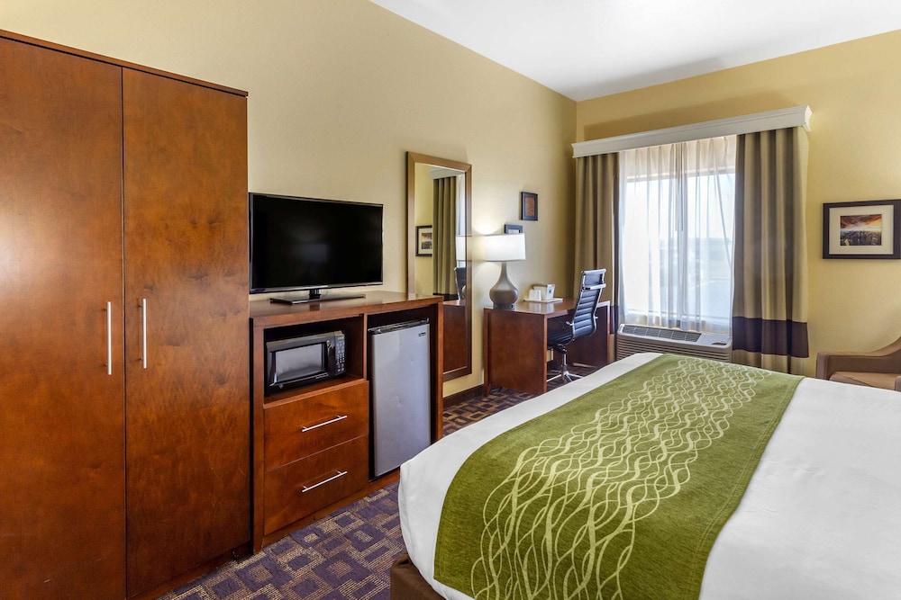 Standard Room, 1 King Bed, Non Smoking - Photo 5