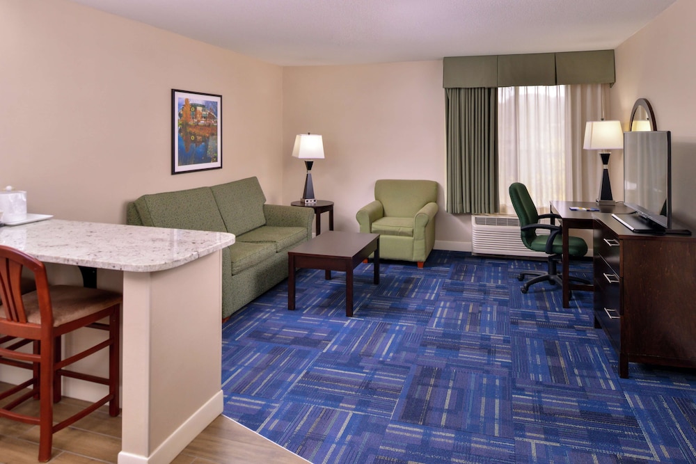 Suite, 1 King Bed, Non Smoking - Photo 1