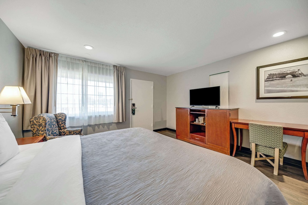 Standard Room, 1 King Bed, Non Smoking, Patio photo 3