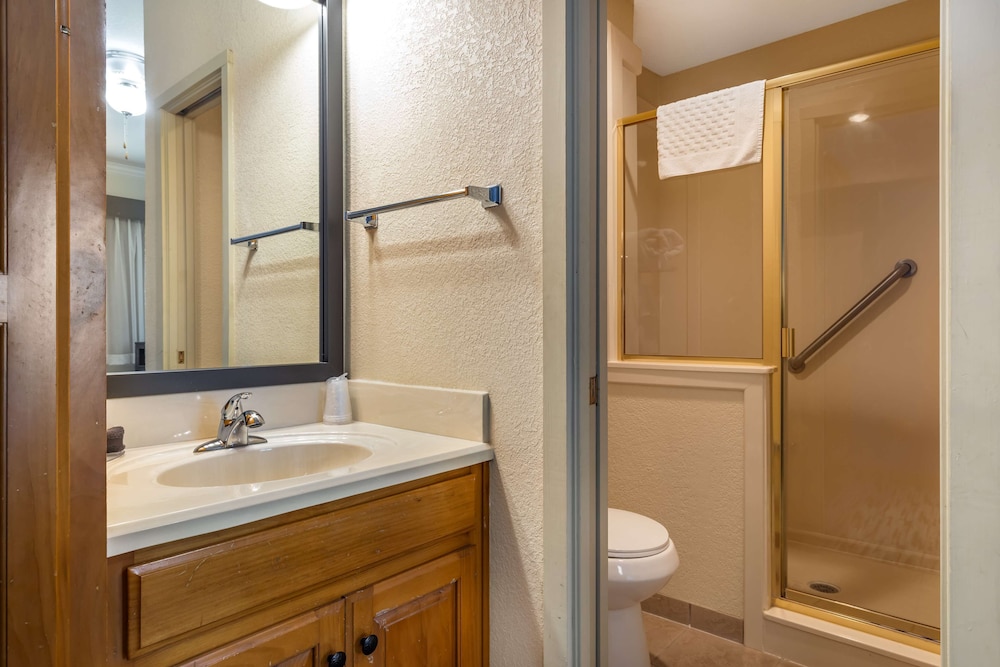 Suite, Multiple Beds, Non Smoking, Refrigerator & Microwave (with Sofabed) photo 2