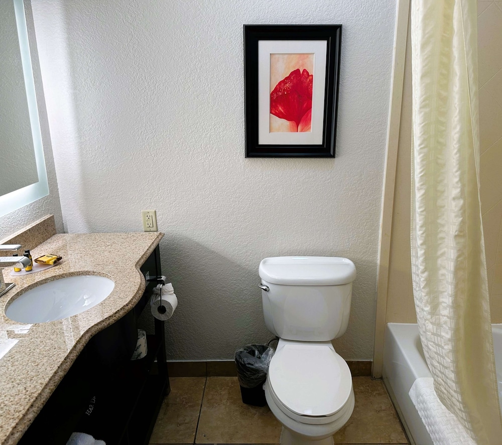 Suite, 1 King Bed, Non Smoking, Refrigerator & Microwave (Living Room;with Sofabed) - Photo 3