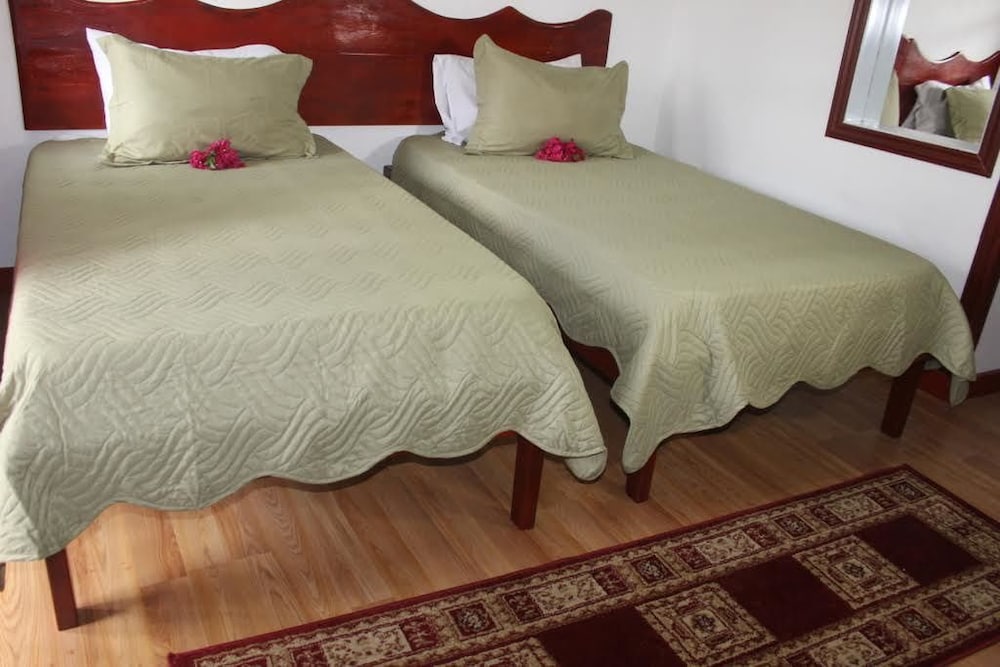 Comfort Twin Room, 2 Twin Beds, Mountain View photo 3