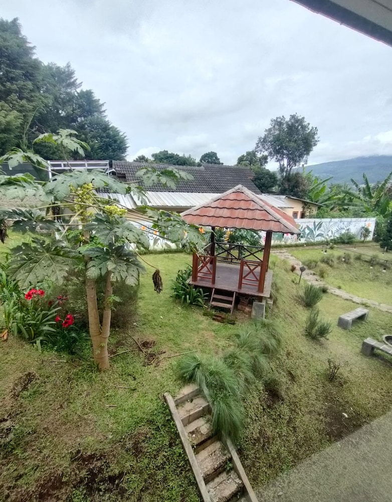 Standard Double or Twin Room, Mountain View photo 1