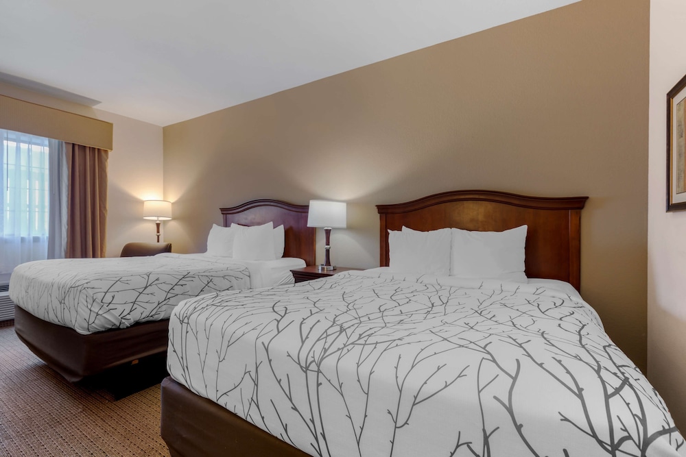 Standard Room, 2 Queen Beds, Non Smoking, Refrigerator & Microwave (Pet Friendly) photo 2