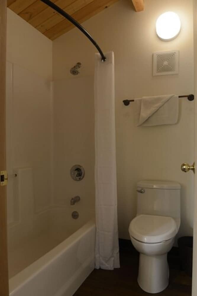 Room, 1 King Bed photo 2