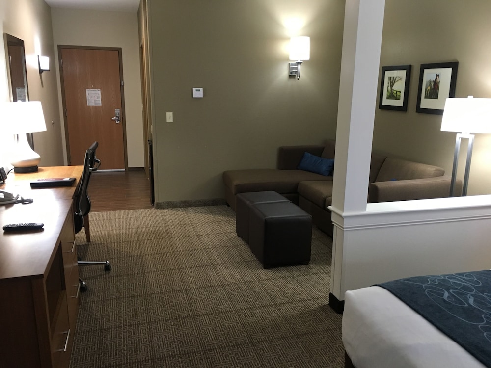 Suite, 1 King Bed - Photo 16