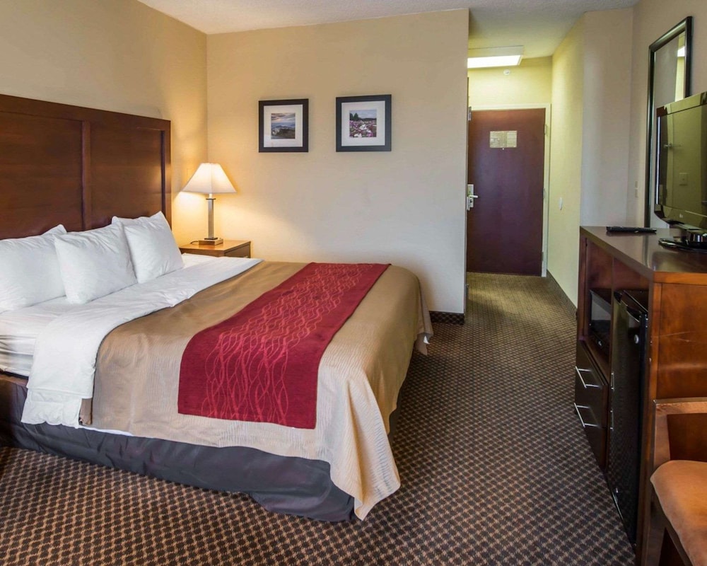 Standard Room, 1 King Bed, Non Smoking - Photo 1