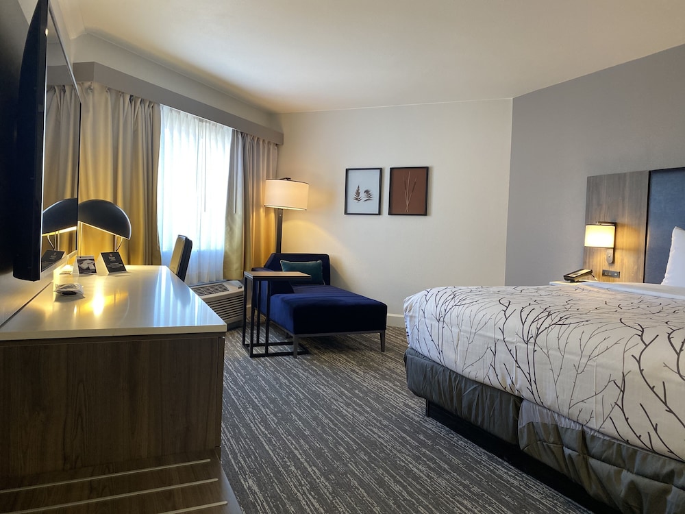 Standard Room, 1 King Bed, Accessible, Patio (Walk-in Shower) - Photo 4
