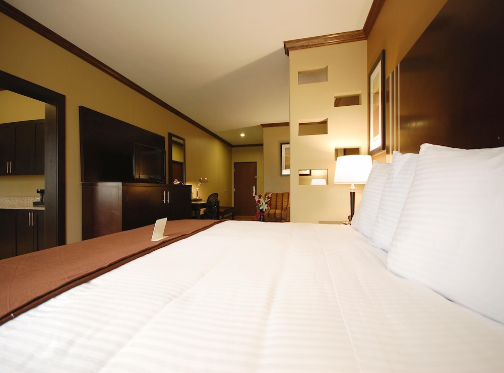 Suite, 1 King Bed, Accessible, Kitchen (with Sofabed) - Photo 2