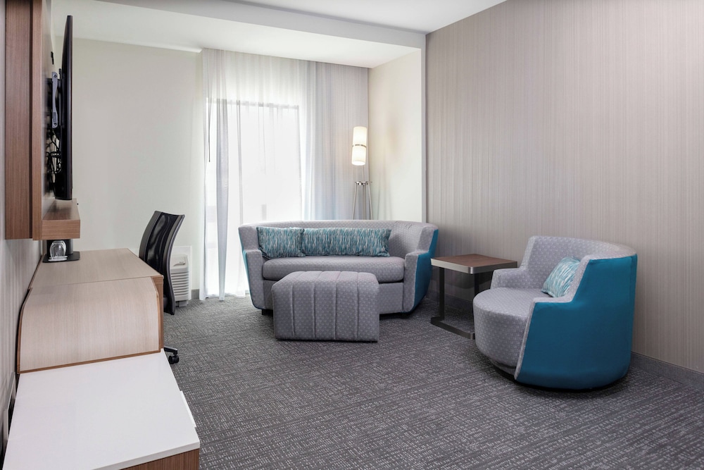 Suite, 1 King Bed with Sofa bed (Hearing Accessible) photo 1