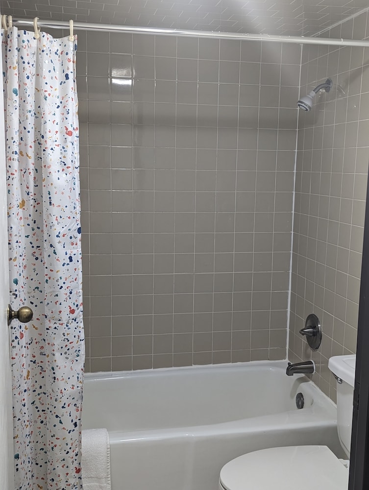 Basic Room, 1 Bedroom photo 2