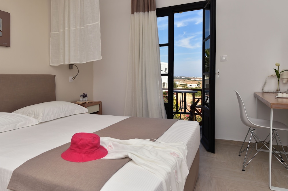 Superior Double or Twin Room (with Hydromassage Shower)