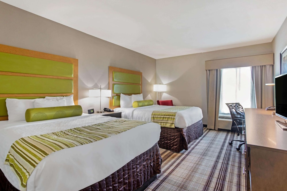 Family Room, 2 Queen Beds