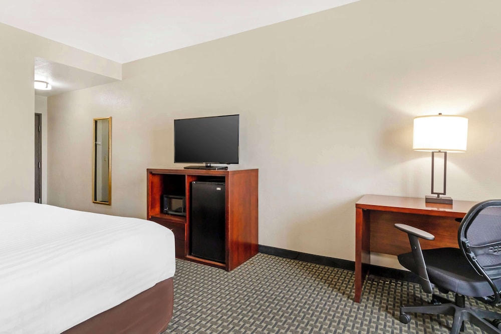 Standard Room, 1 King Bed, Non Smoking, Refrigerator & Microwave - Photo 3