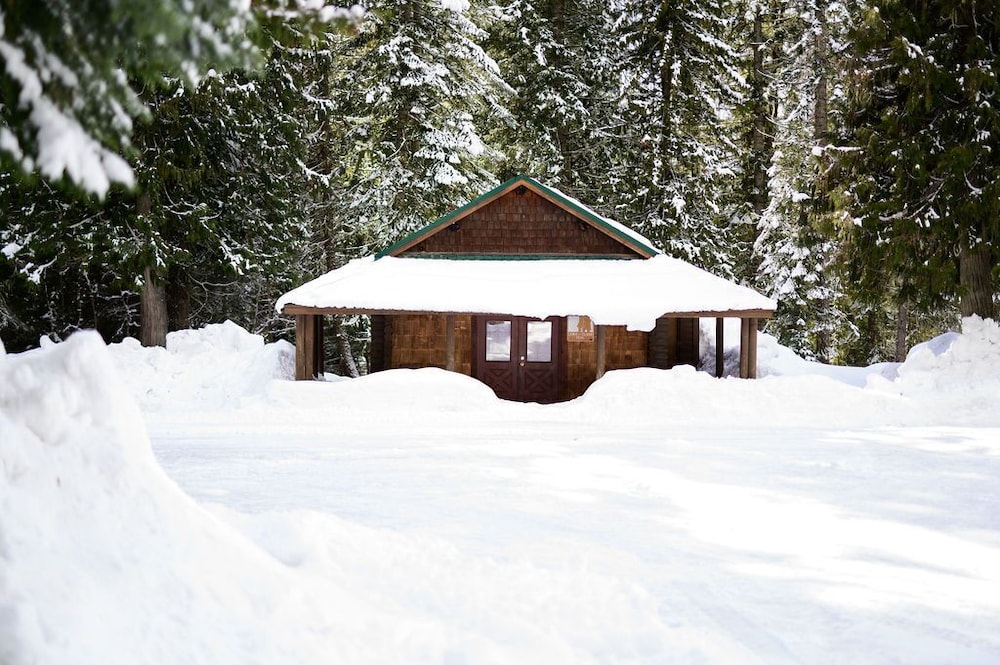 Premium Cabin, Multiple Beds, Fireplace photo 2