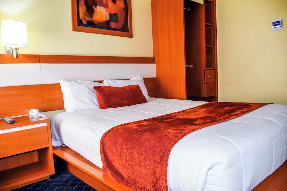Executive Single Room, 1 Queen Bed, Accessible photo 1