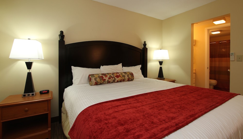 Condo, 1 Bedroom photo 3