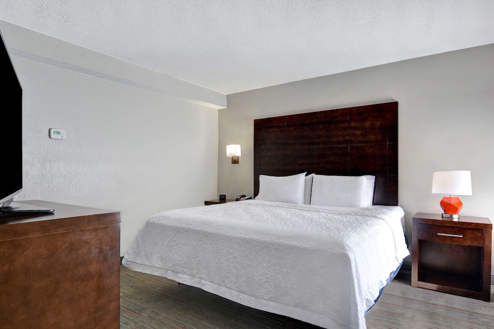 Suite, 1 King Bed, Non Smoking - Photo 1