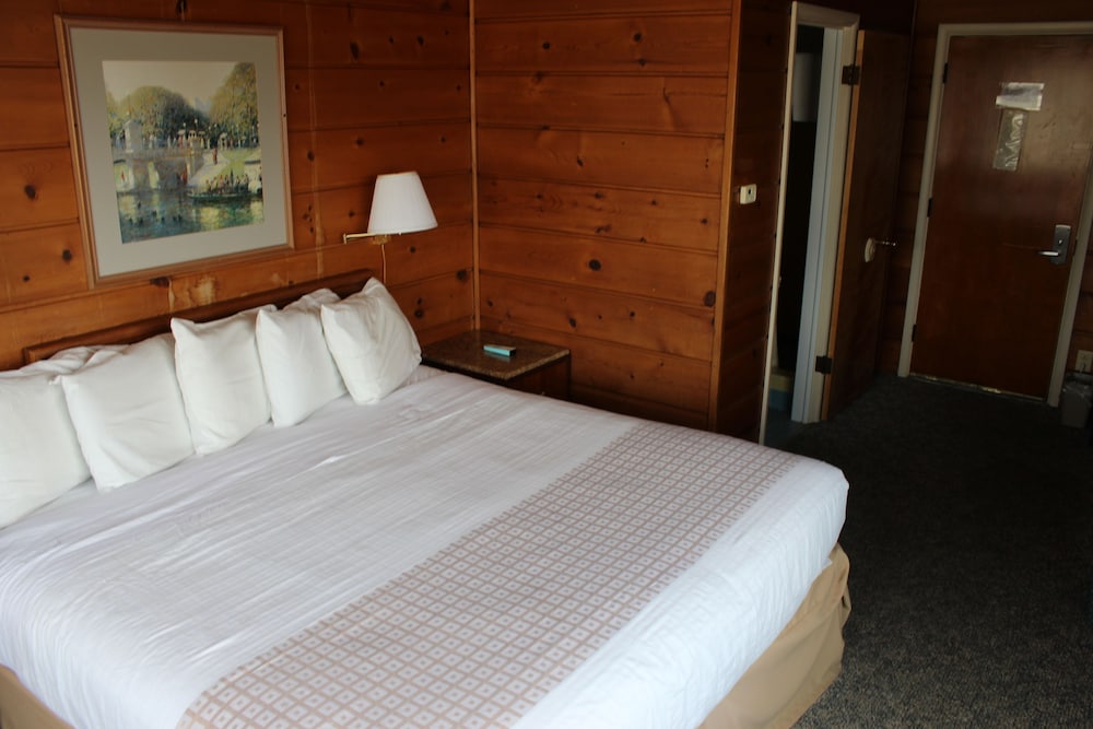 Room, 1 King Bed, Non Smoking (On the Side)