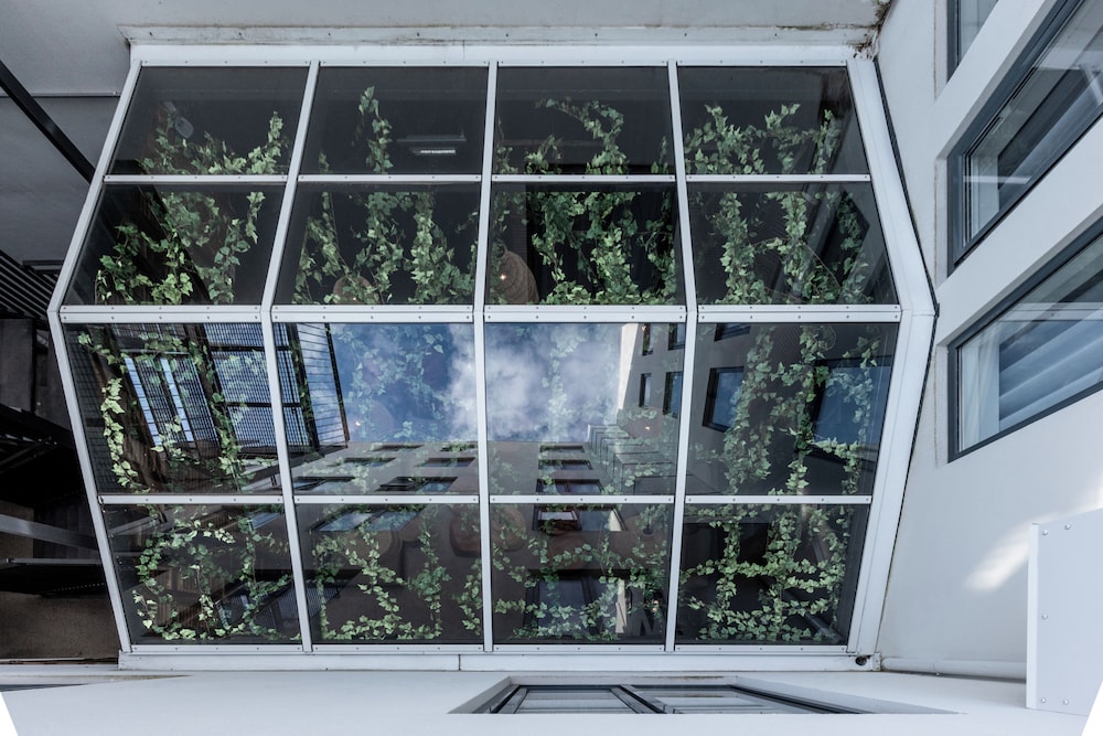 Glass House View Room photo 1