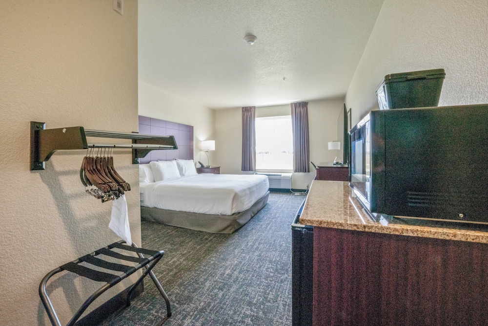 Room, 1 King Bed, Accessible, Non Smoking (Guestroom Audible/Visual Alert) - Photo 2
