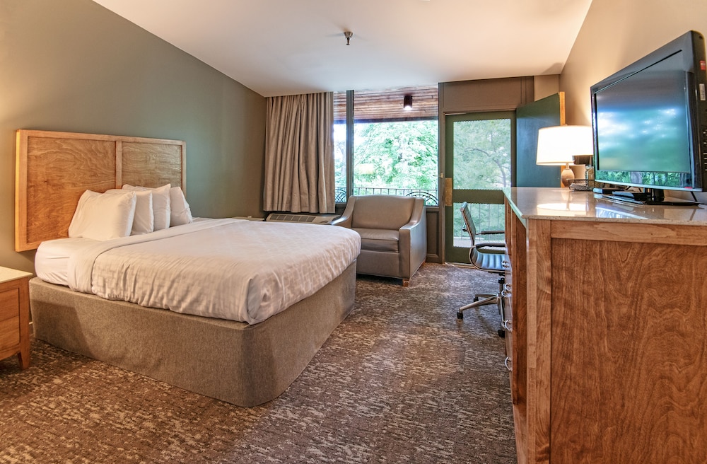 Room, 1 Queen Bed with Sofa bed photo 1