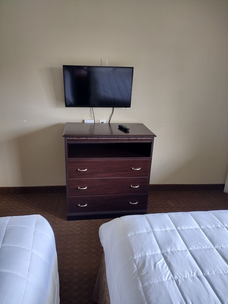 Basic Single Room photo 2