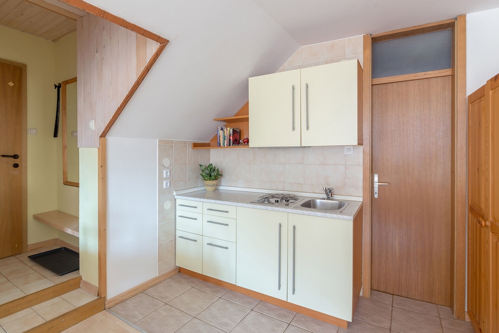 Classic Studio, 1 Queen Bed, Kitchenette, Mountain View photo 2