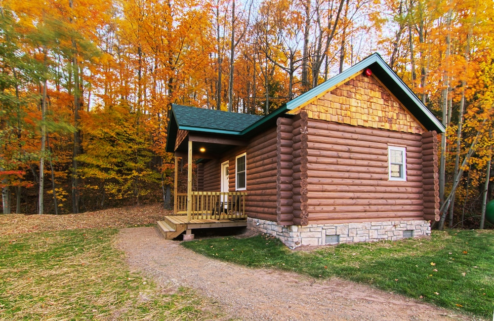 Cabin, 1 Bedroom photo 3