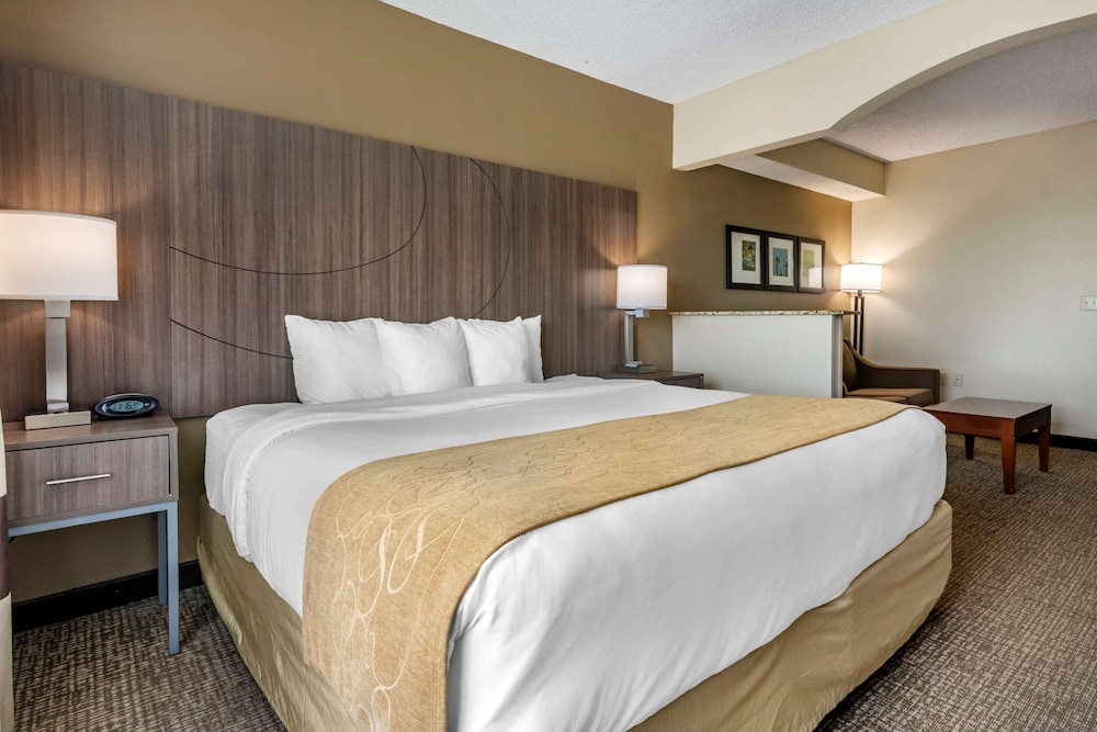 Suite, 1 King Bed, Non Smoking - Photo 3