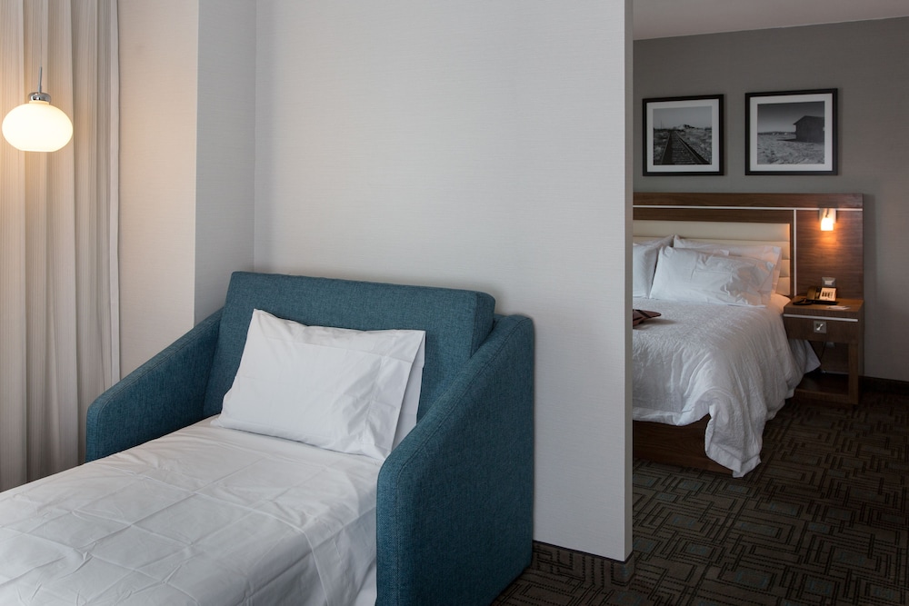 Suite, 1 King Bed, Non Smoking photo 2