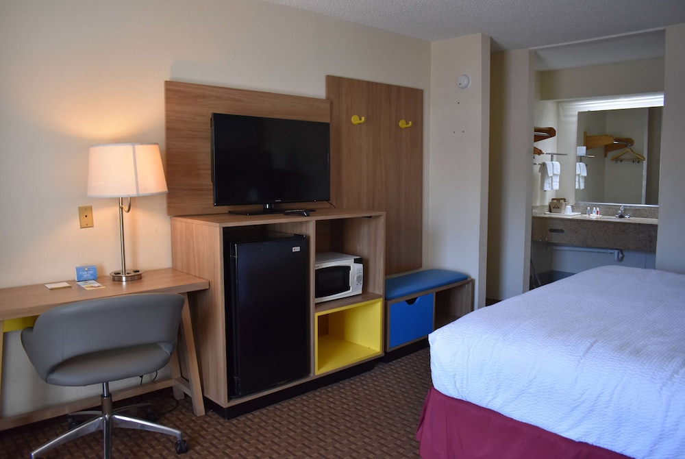 Room, 1 King Bed, Accessible - Photo 4