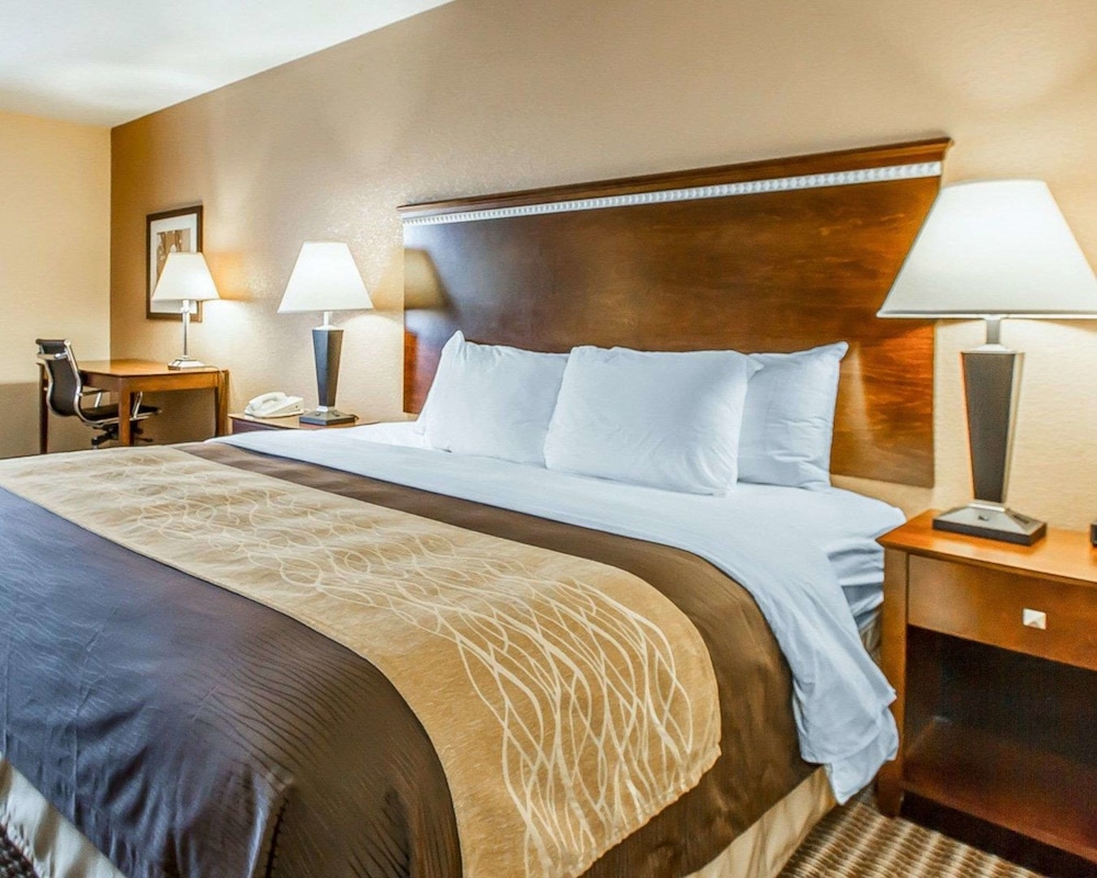 Standard Room, 1 King Bed, Non Smoking photo 1