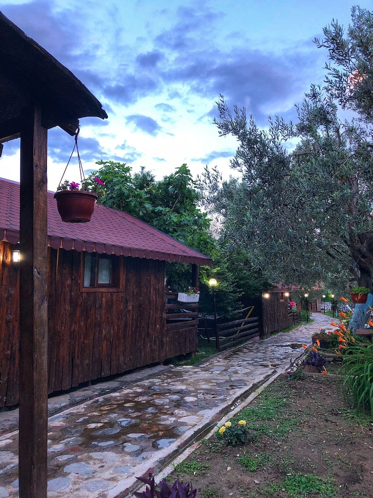 Tree House, Multiple Beds, Lanai, Pool View photo 3