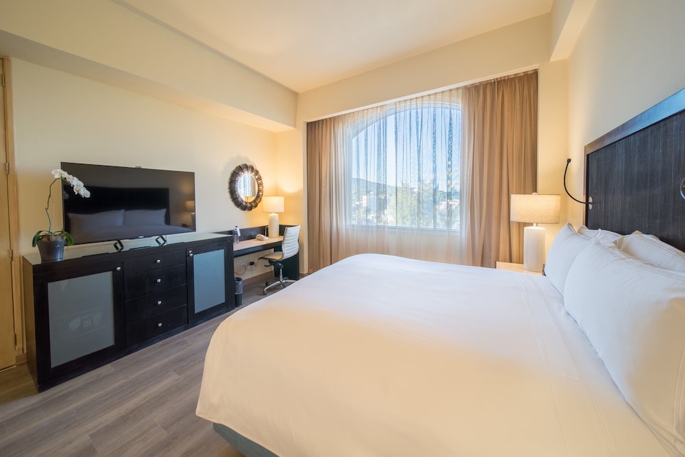 Suite Presidencial, 1 cama individual