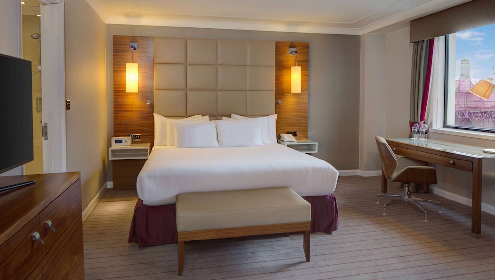 King, 1 King Bed with Sofa bed