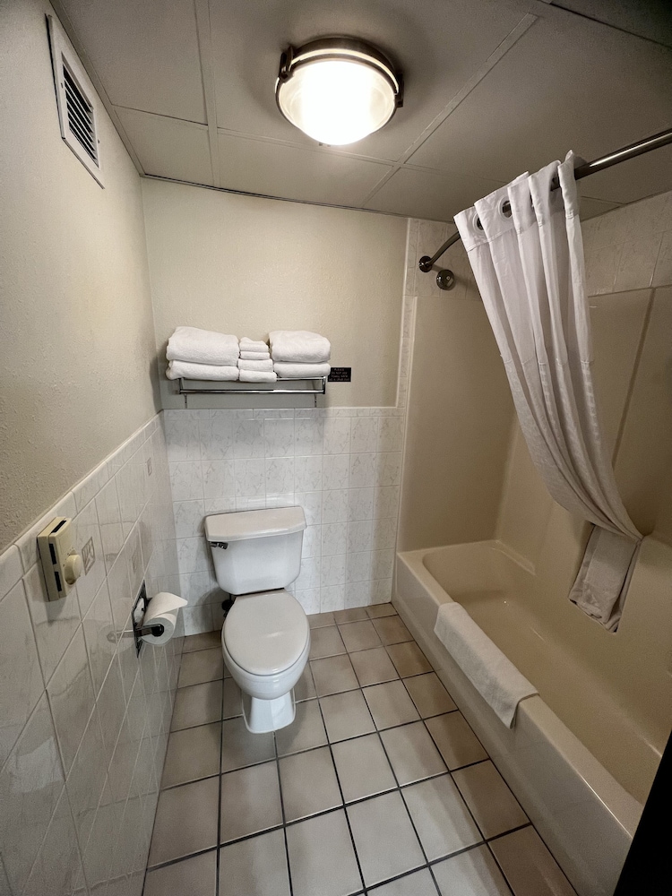 Suite, 1 King Bed, Non Smoking photo 3