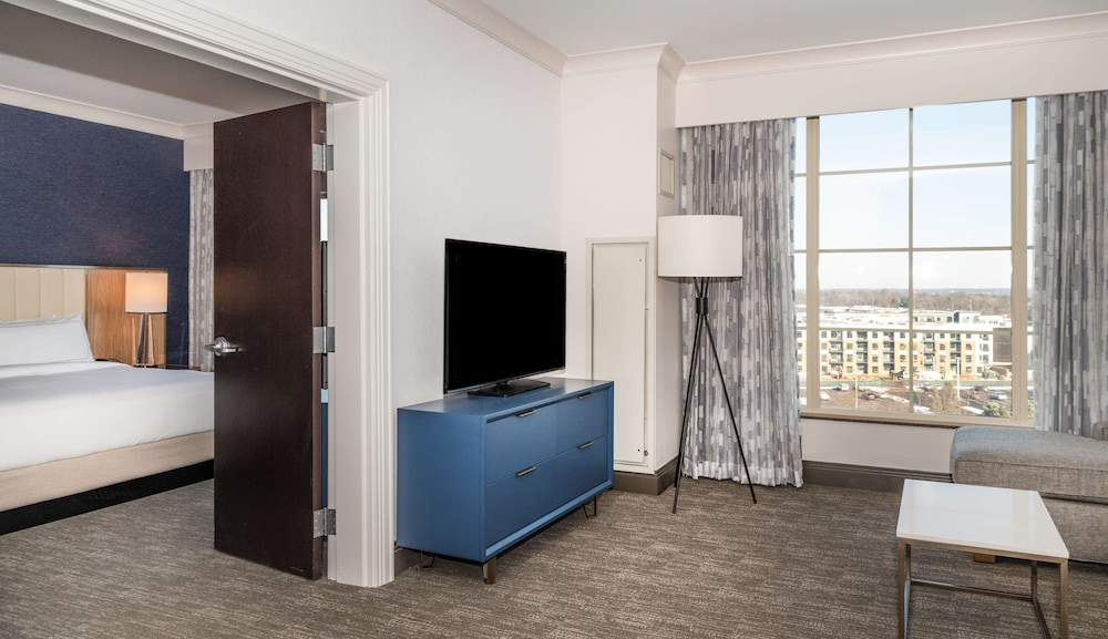 executive 2-room suite,1king bed with one sofabed,business lounge access(mobility & hearing, roll-in photo 1