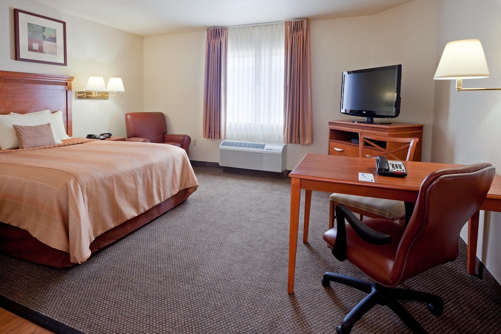 Studio Suite, 1 Queen Bed - Photo 2