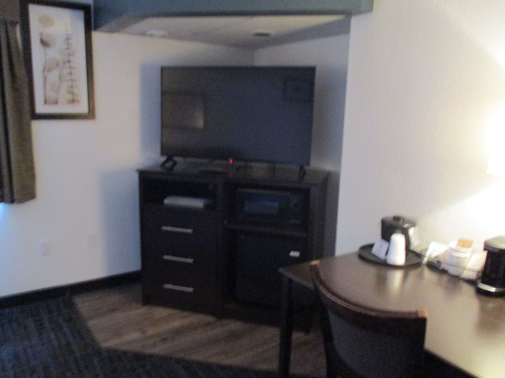 Suite, 1 King Bed, Non Smoking photo 1